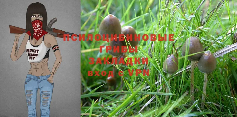 Псилоцибиновые грибы MAGIC MUSHROOMS  Уссурийск 